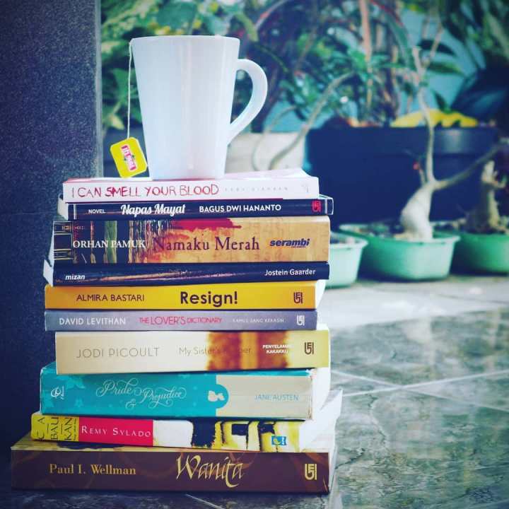 ilustrasi tumpukan buku © The Stupid Bookworm