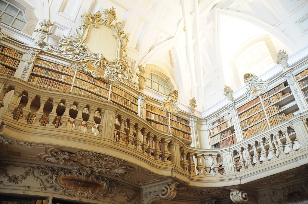 Mafra Palace Library © Wikimedia Commons/
Joseolgon