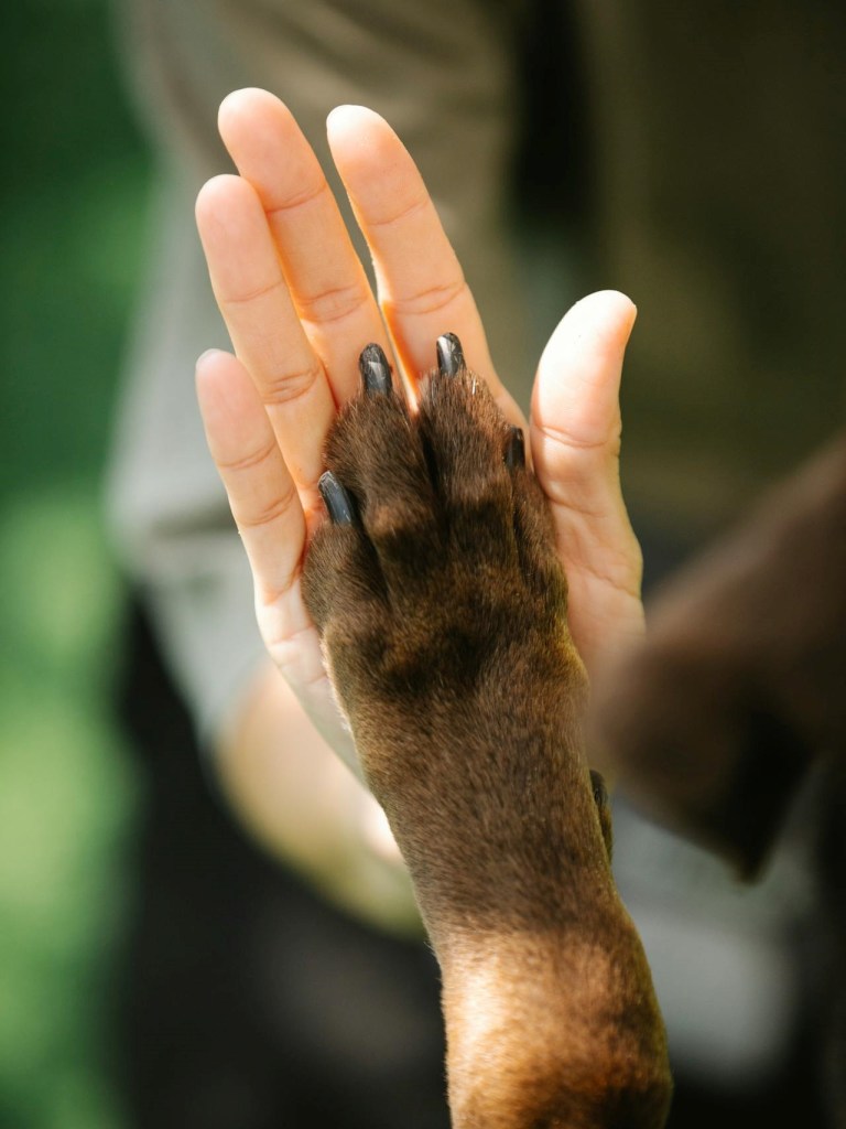 Salah satu manfaat membaca adalah memupuk empati (©Pexels.com/Blue Bird)